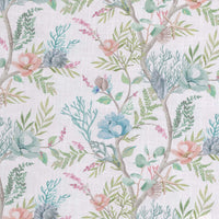 Bermuda Vine Sage