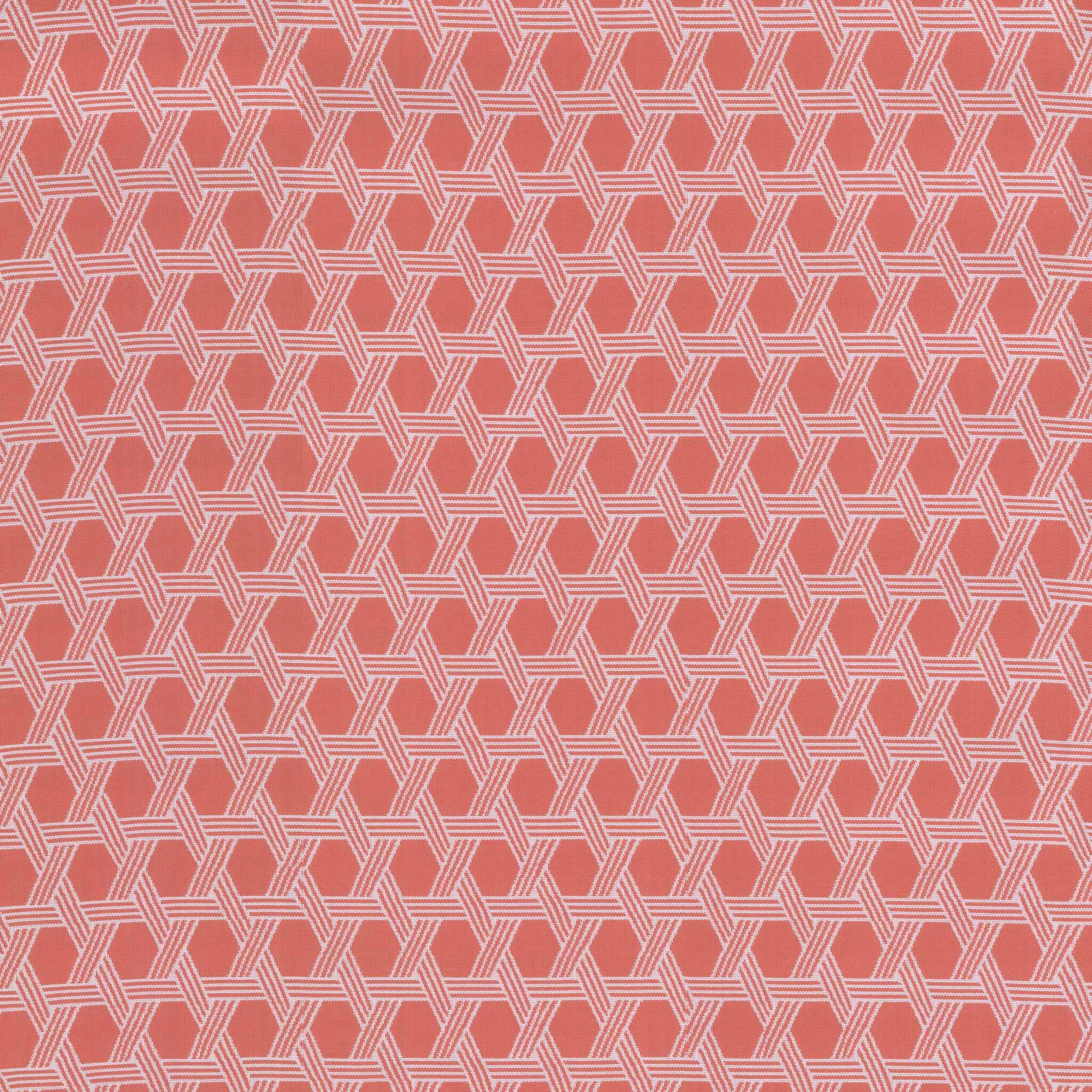 Bianca Melon