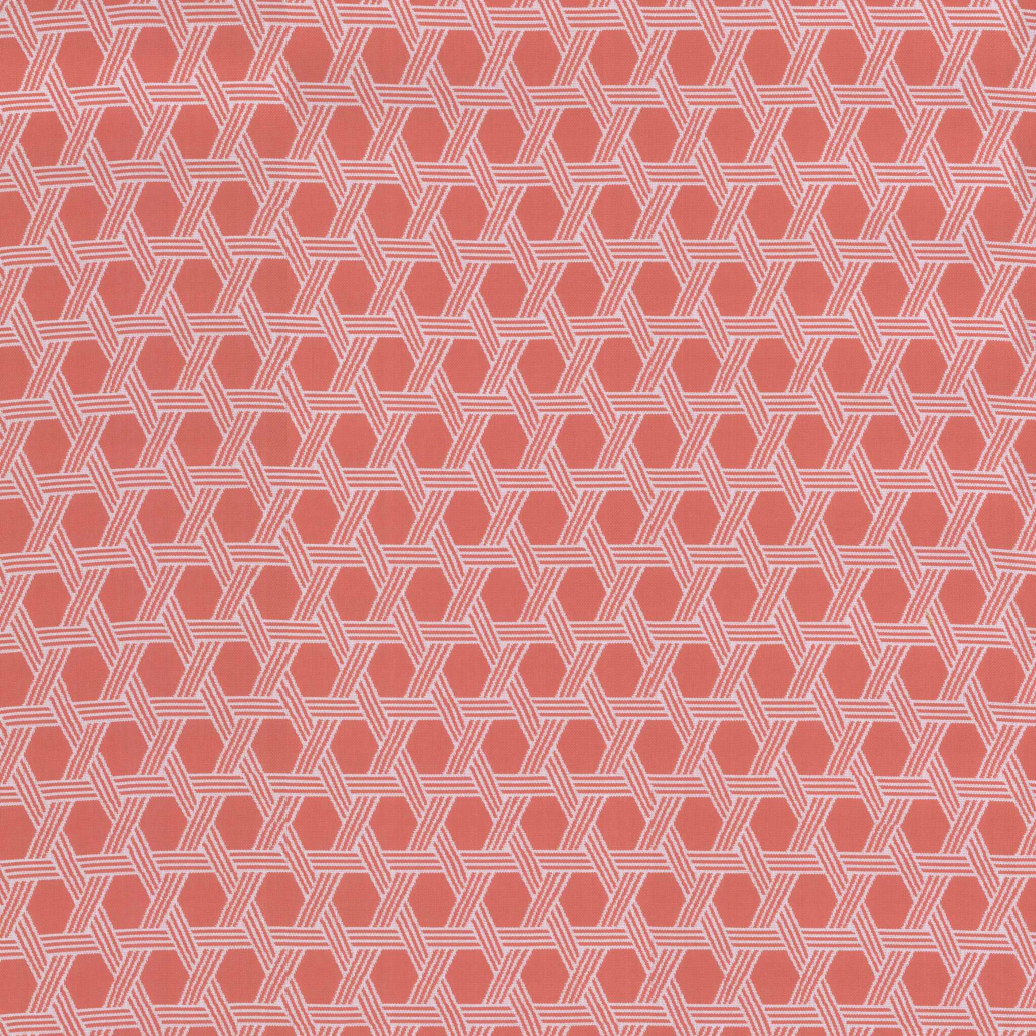 Bianca Melon