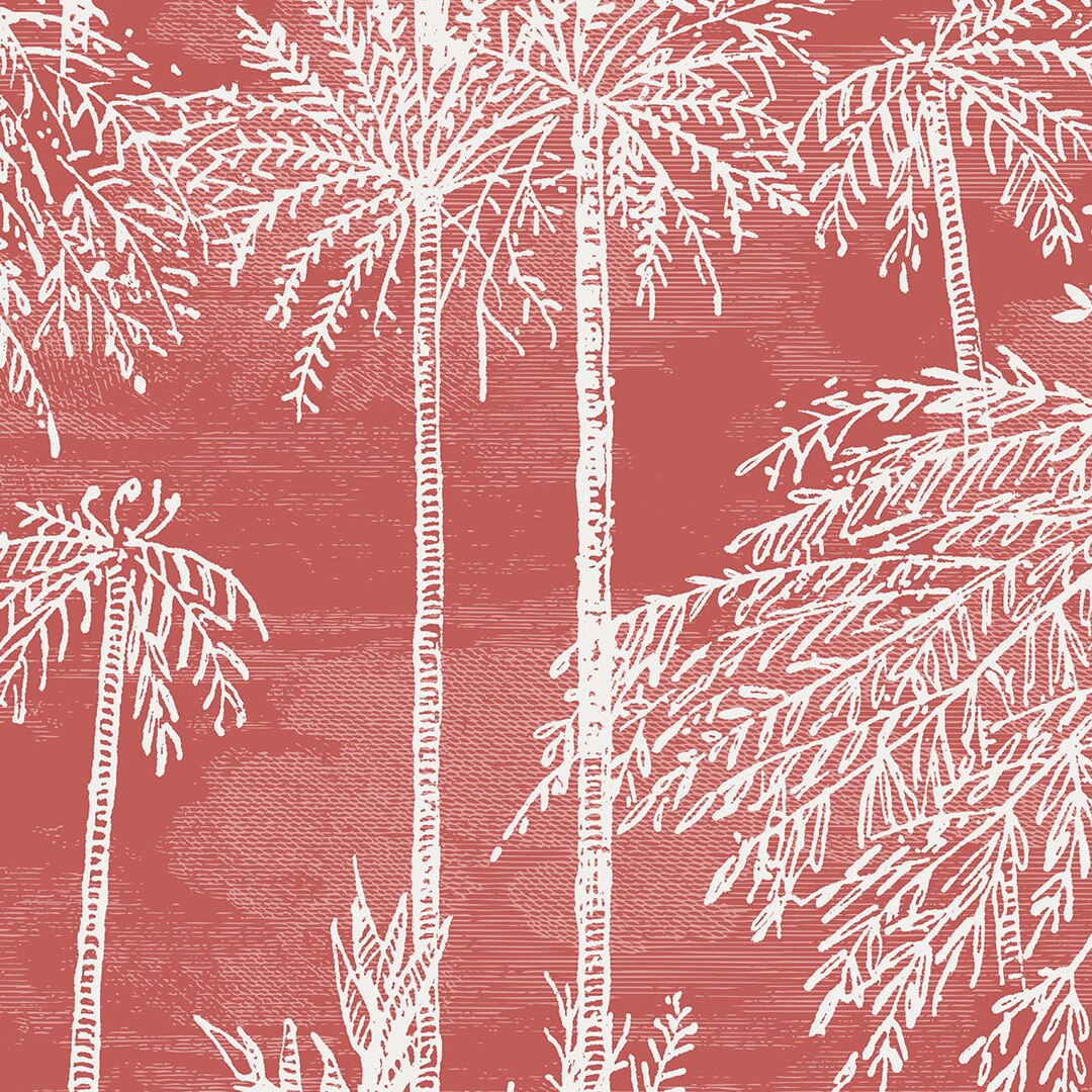 Palm Grove Coral