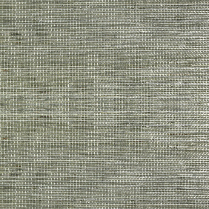 Sisal Grasscloth Volume 2 Silver Green