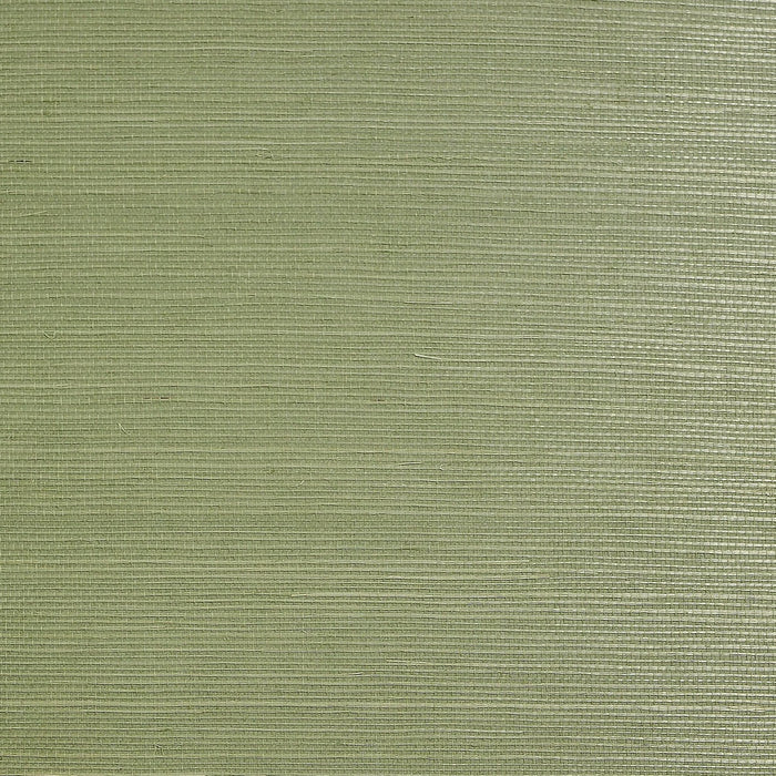 Sisal Grasscloth Volume 2 Jade