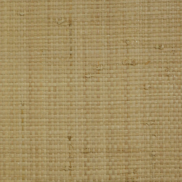 Raffia Grasscloth Volume 2 Tan