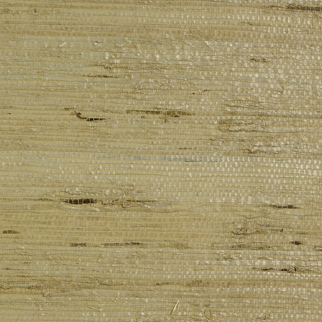 Arrowroot Grasscloth Volume 2 Beige