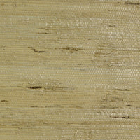 Arrowroot Grasscloth Volume 2 Beige