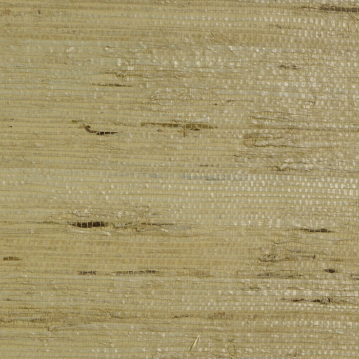 Arrowroot Grasscloth Volume 2 Beige