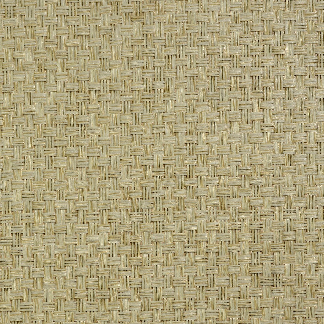 Basket Paperweave Grasscloth Volume 2 Cappuccino