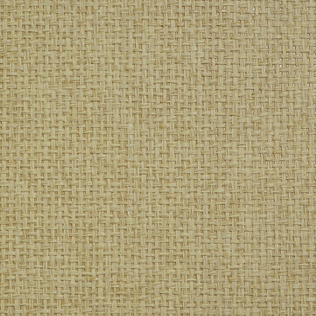 Basket Paperweave Grasscloth Volume 2 Caramel Swirl