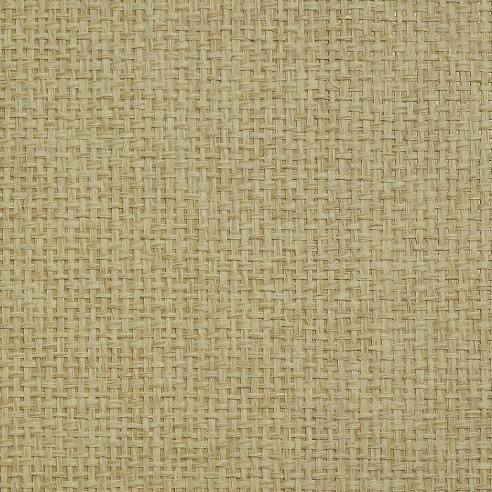 Basket Paperweave Grasscloth Volume 2 Caramel Swirl