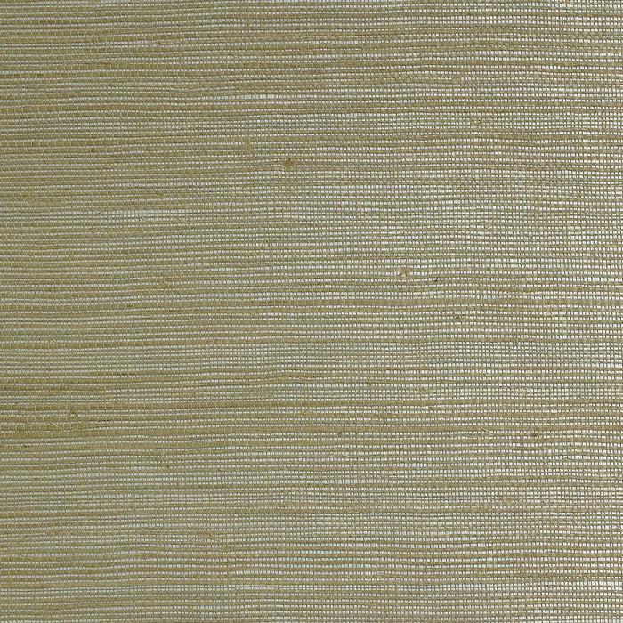 Sisal on Metallic Grasscloth Volume 2 Silver Beige