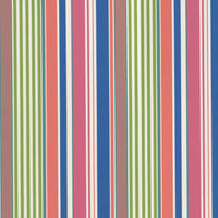 Newport Stripe Multi