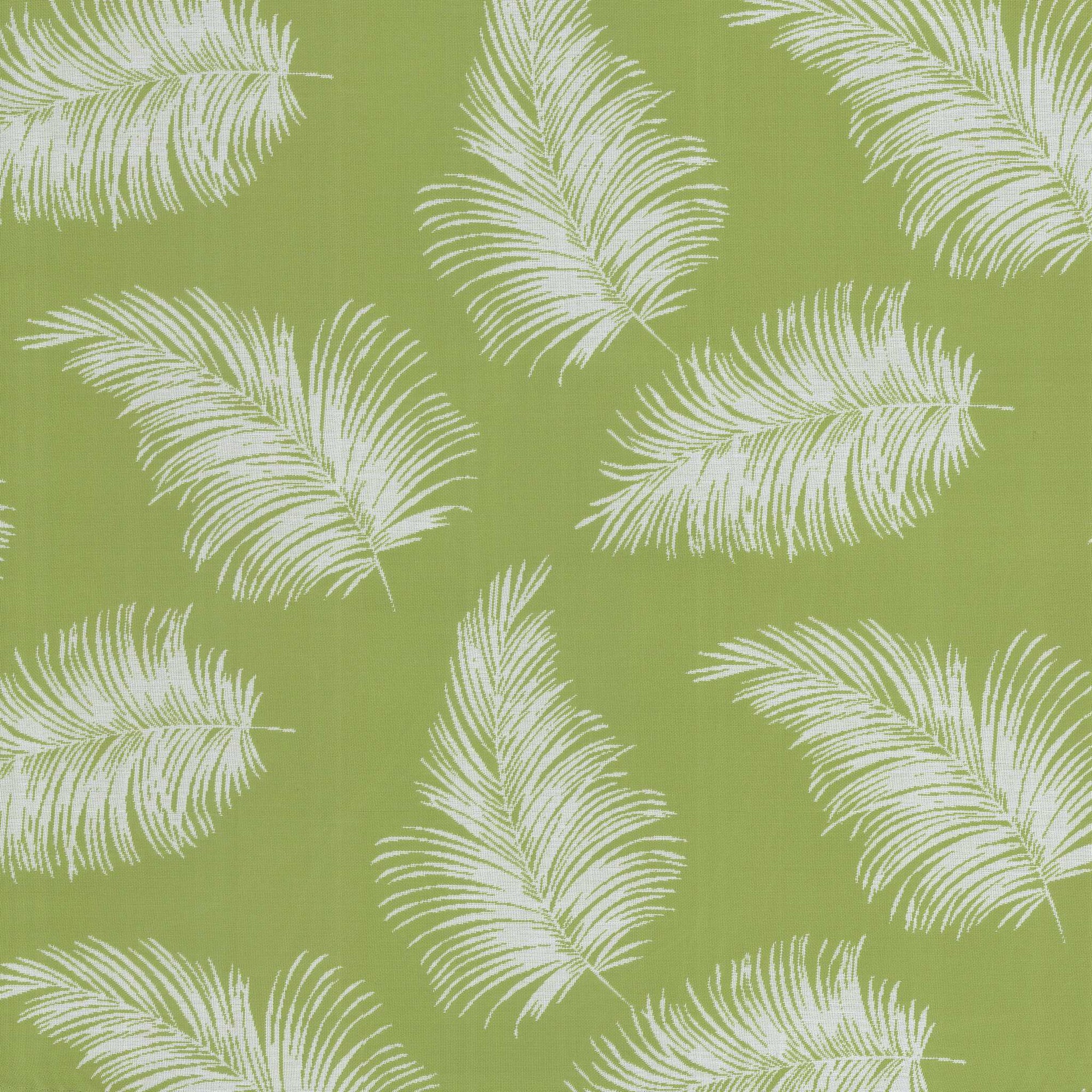 Tropicalle Kiwi