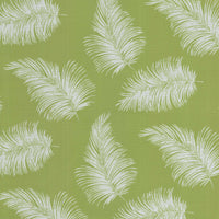 Tropicalle Kiwi