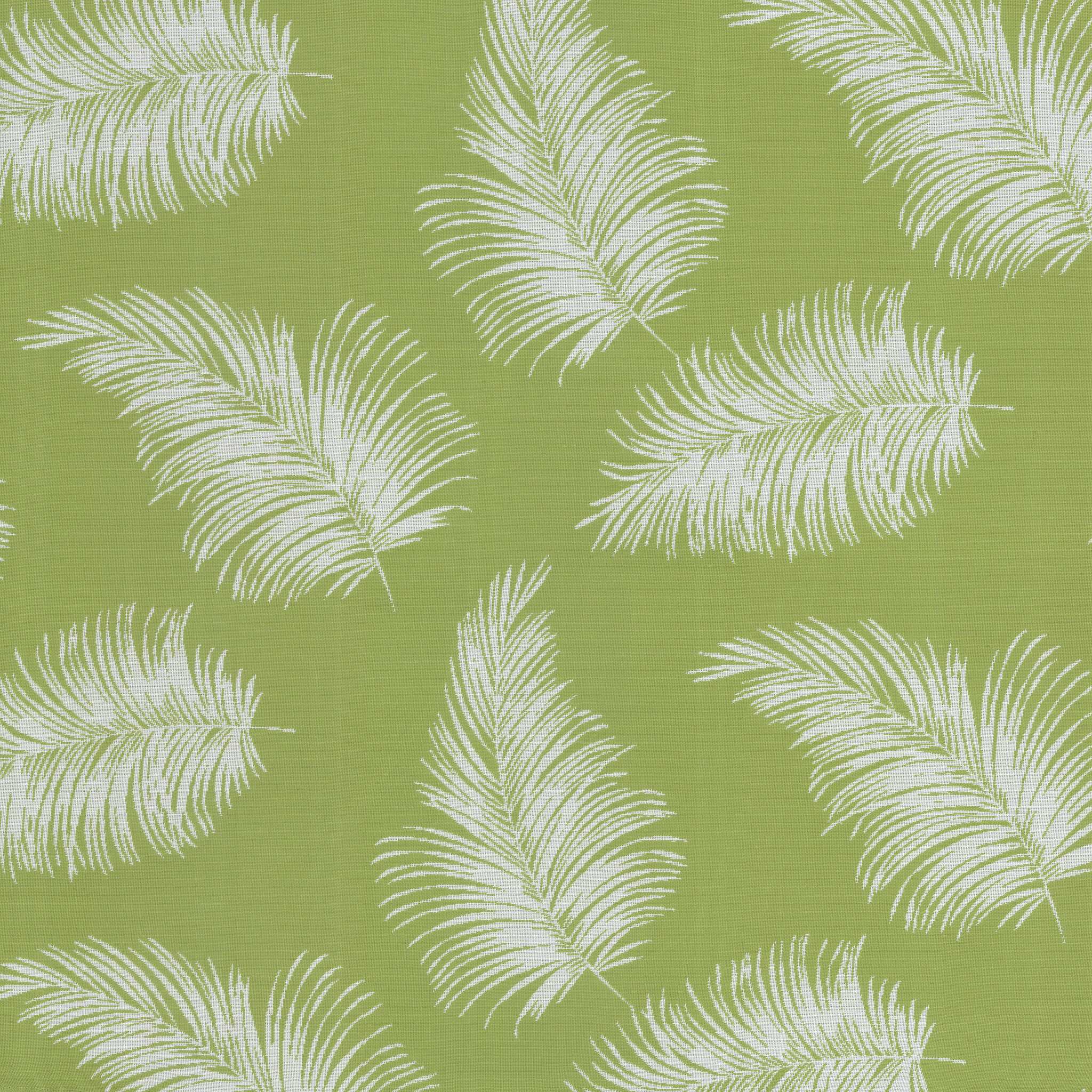 Tropicalle Kiwi