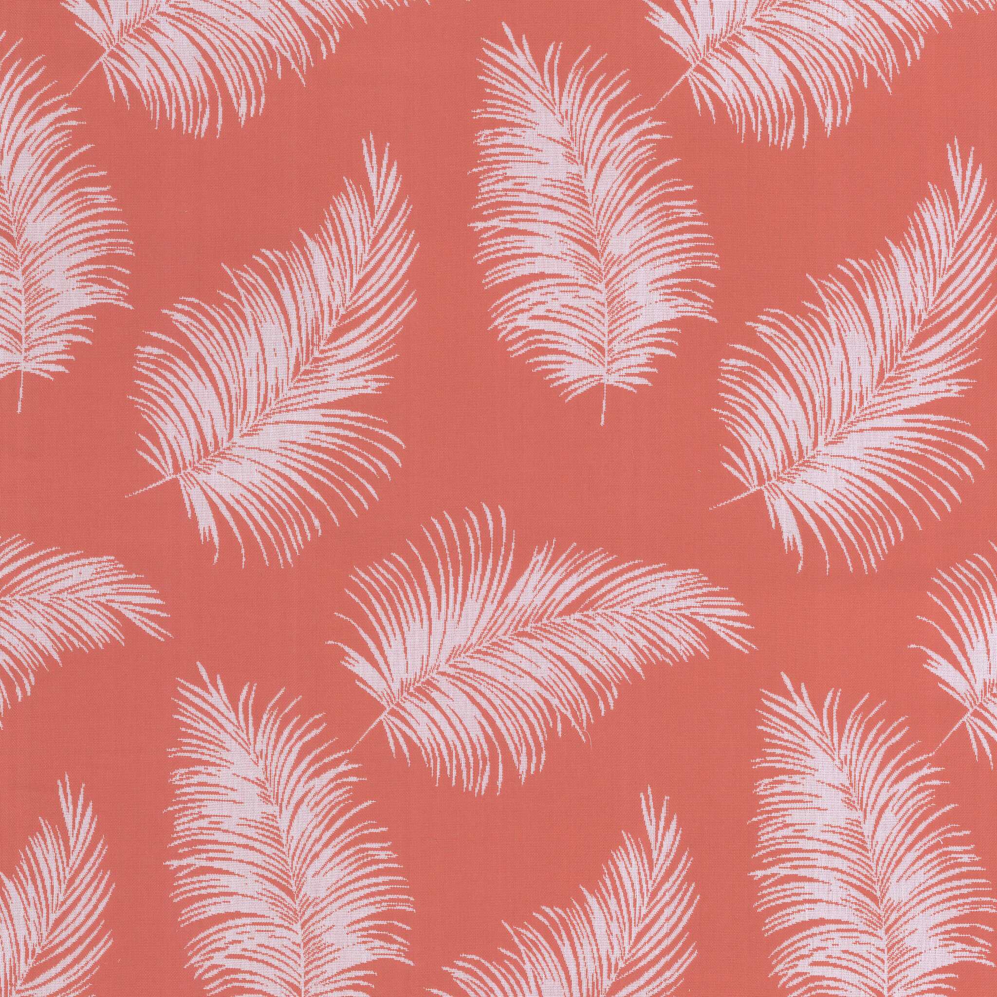 Tropicalle Melon