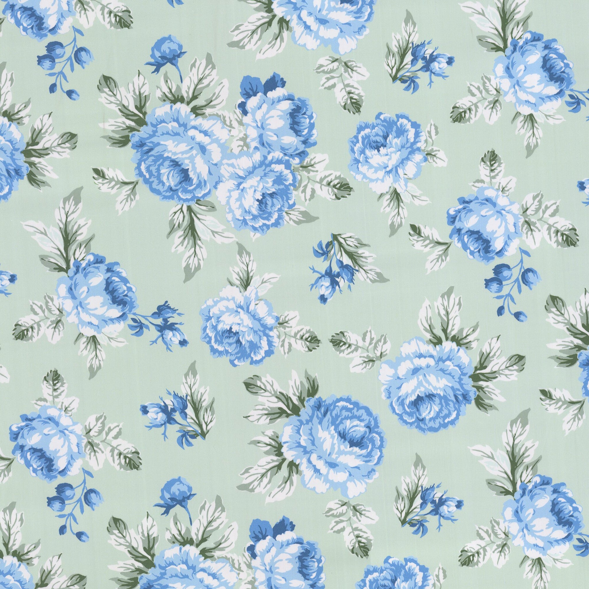 Victoria Blue/Kiwi