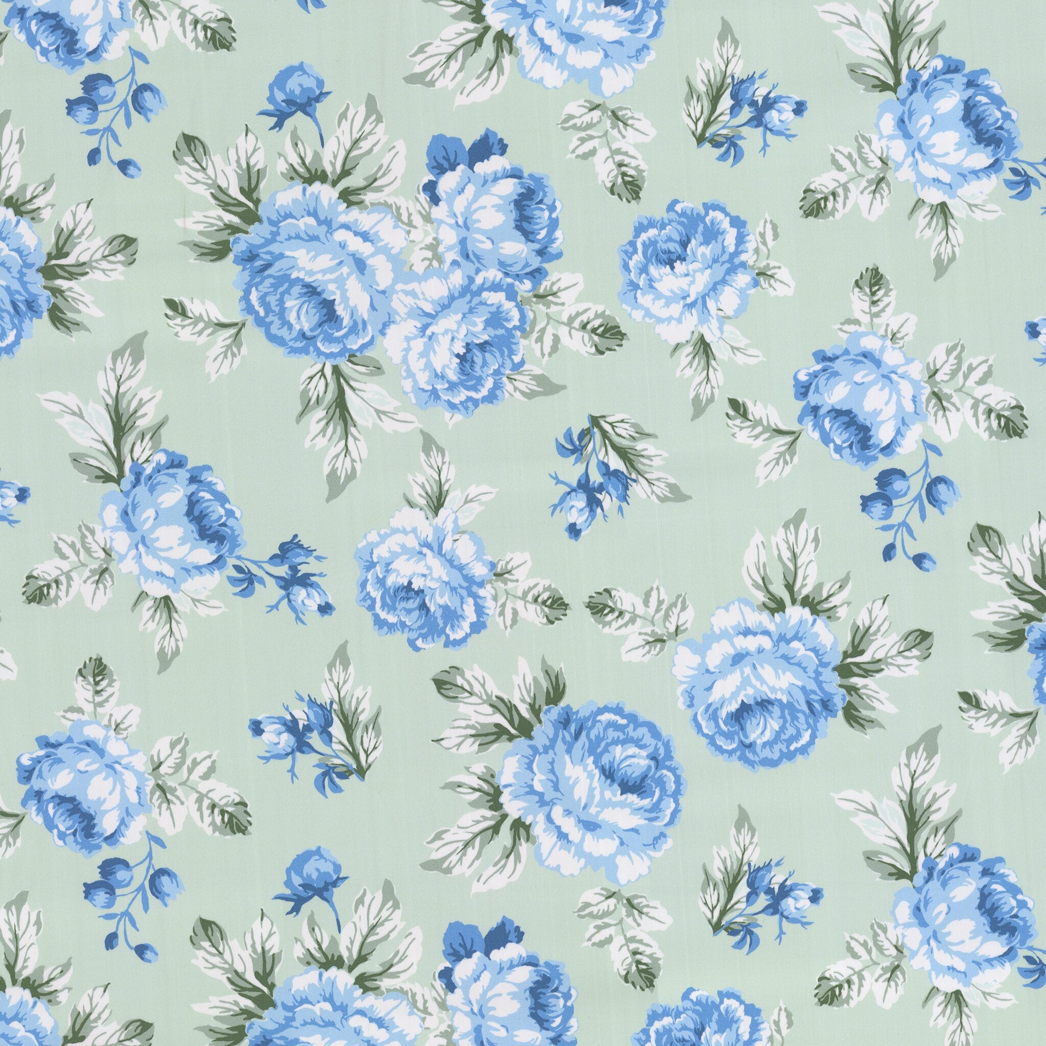 Victoria Blue/Kiwi