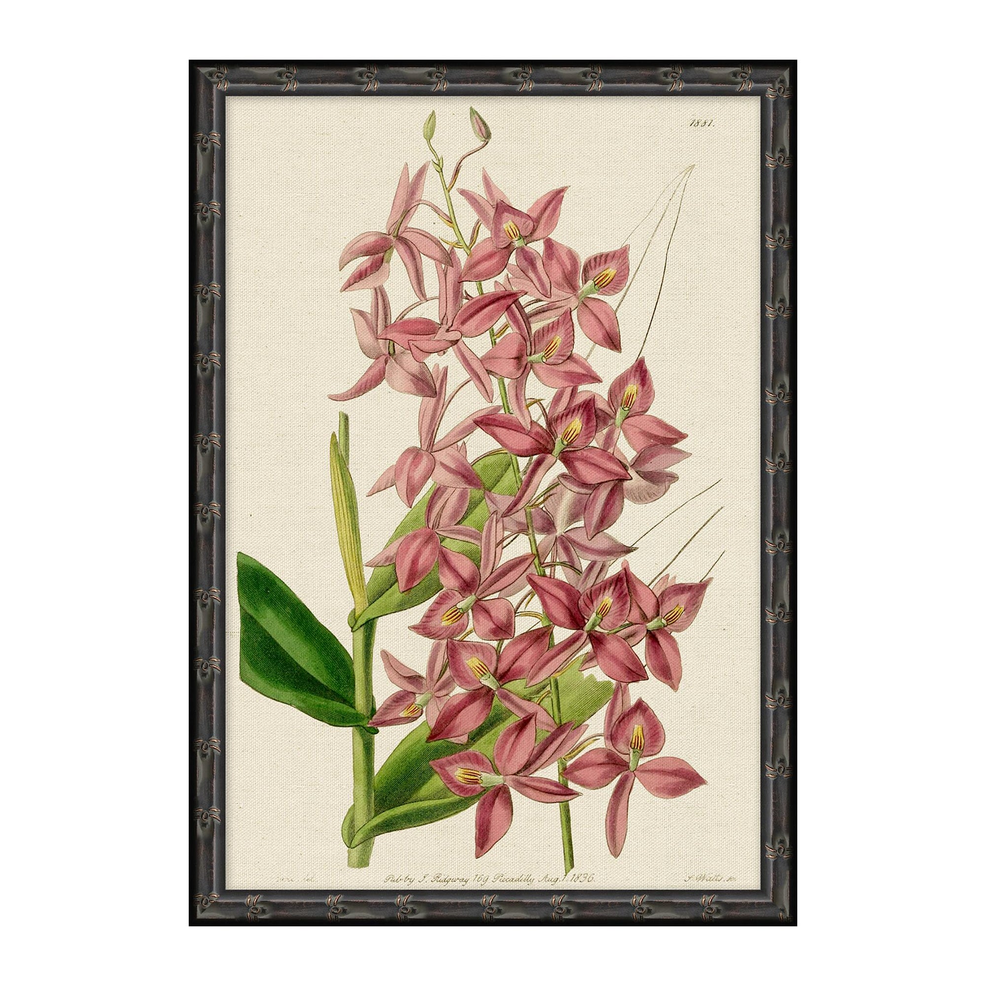 lifestyle