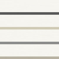 Crew Stripe Ivory, Wrought Iron, and Sand Dollar