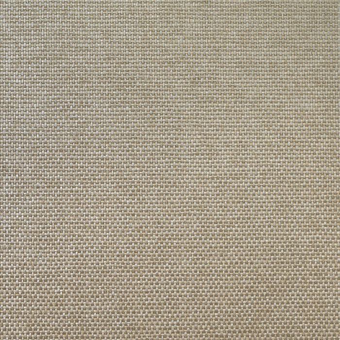 Tight Paperweave Metallic Silver and Taupe