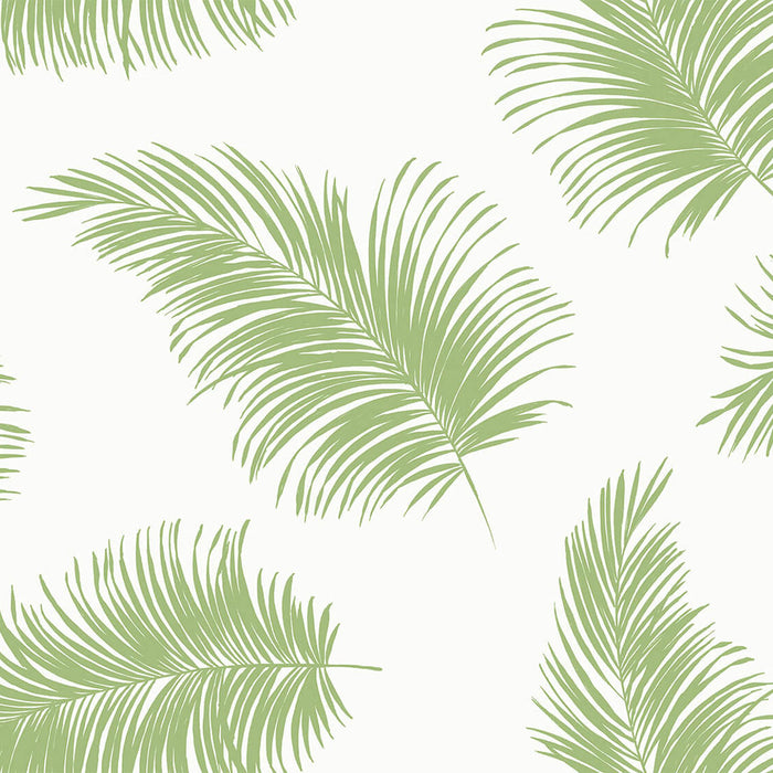 Tossed Palm Summer Fern
