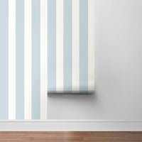 Designer Stripe Hampton Blue